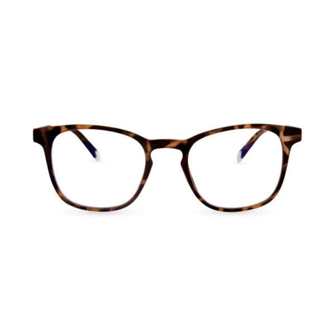 Picture of Barner Dalston Screen Glasses - Tortoise