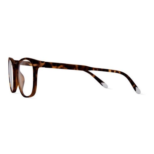 Picture of Barner Dalston Screen Glasses - Tortoise